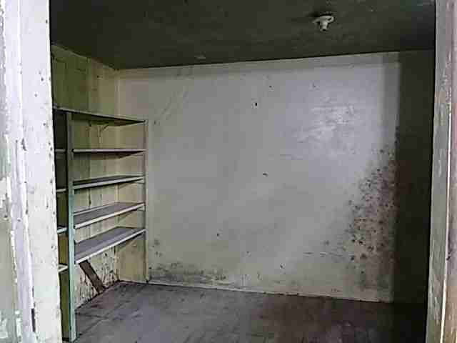 Testing again(16).jpg